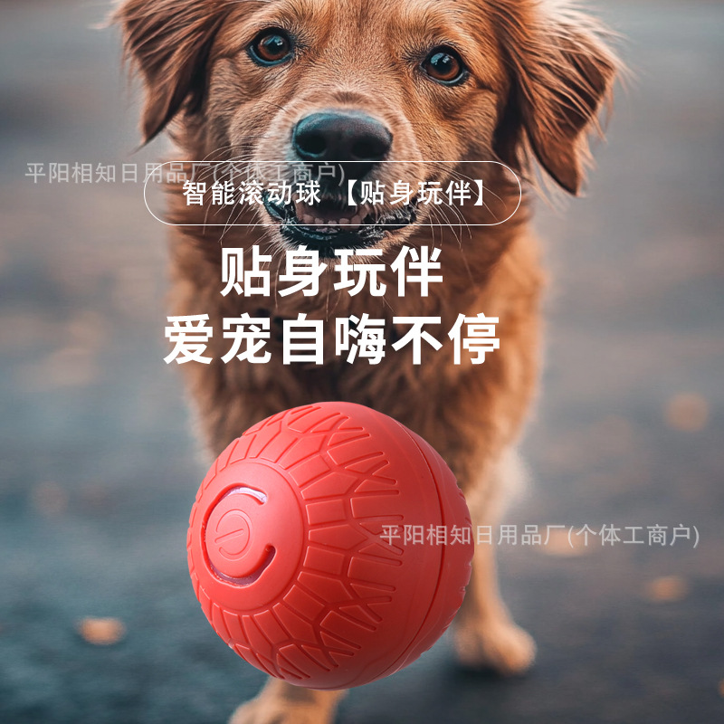 Cross-border bestsellers: Automatic cat teasing balls, self-entertaining and boring gadgets, jumping balls, rolling balls, cat toy balls, pet supplies