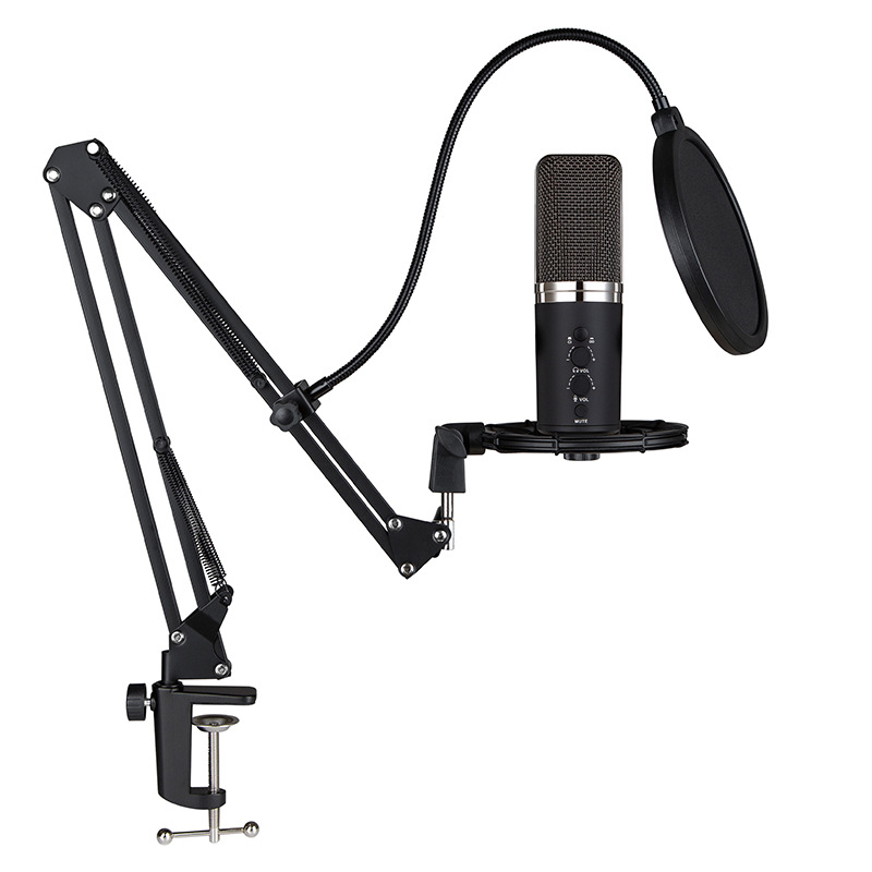 Hualihui F4 Microphone Dedicated Shock Bracket for Live Streaming, Recording, Karaoke, Microphone Clip, Vibration Damping Stand Accessories