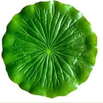 Artificial lotus leaves for restaurant food decoration, artificial leaves, plastic barbecue mats for seafood and fruit, artificial green leaves.