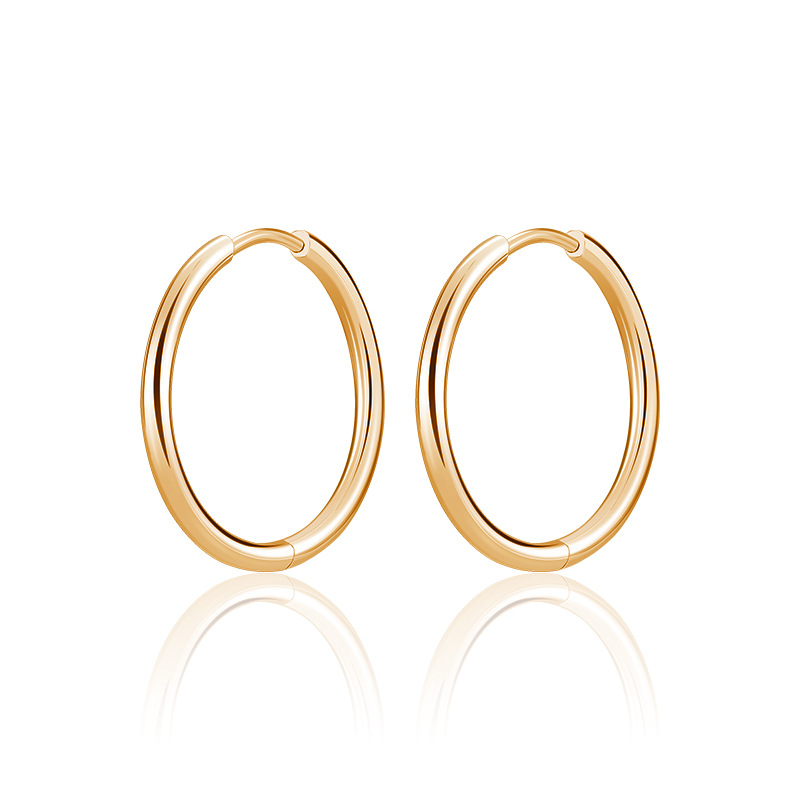 2023 Hot Selling European and American Earrings: Simple and Unique Titanium Steel Earrings, Ear Clips, Hoops, Plain Hoop Earrings - Factory Direct Wholesale