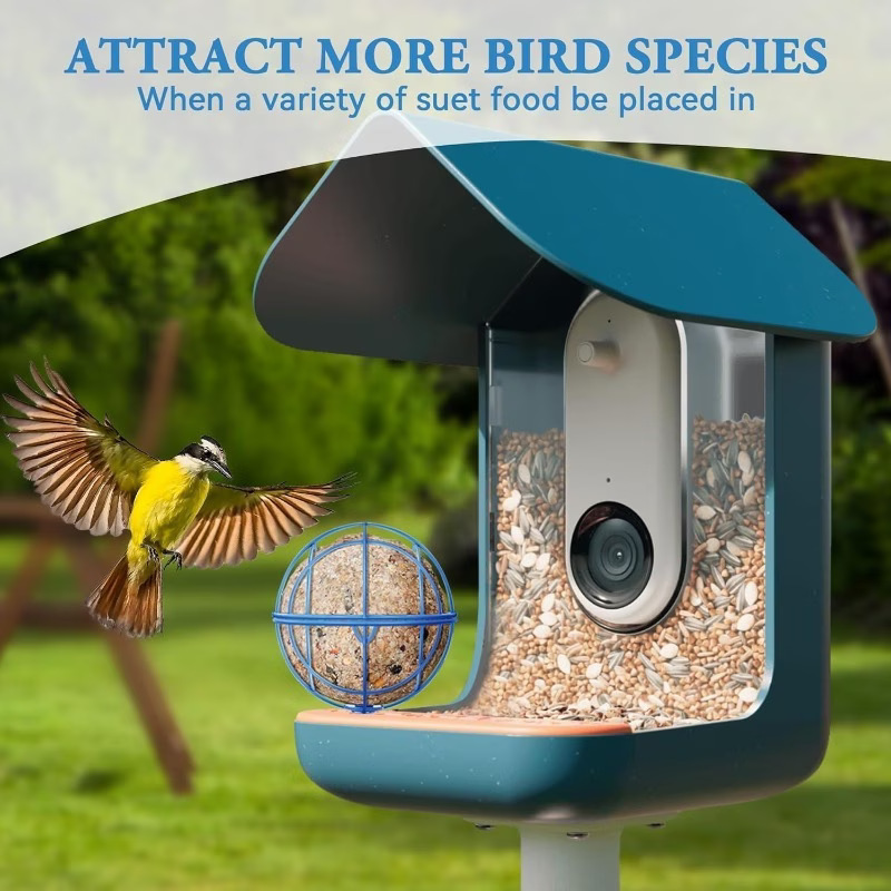 Cross-border new product: Hollowed-out birdcage, circular feeder, metal garden, outdoor wild bird feeding tool, bird feeder