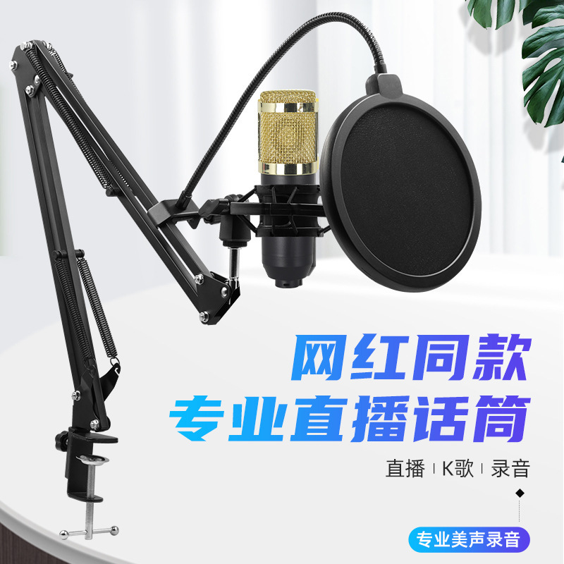 BM800 Cross-border Condenser Microphone V8 Mobile Phone English Sound Card Computer USB Cantilever Stand Live Streaming Kit