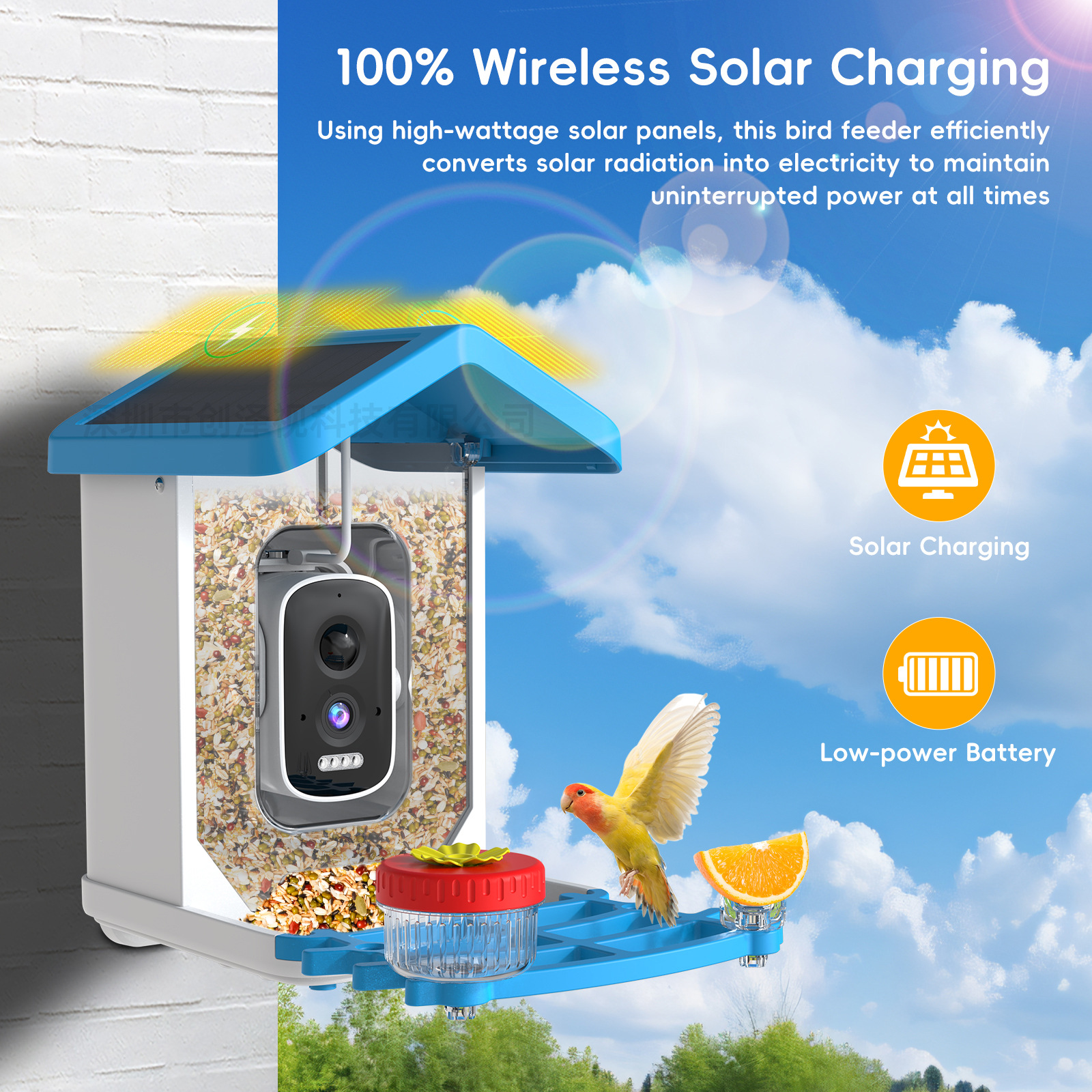Cross-border smart bird feeder, 5MP high-definition camera, AI recognition of 10,000 species of birds, outdoor solar-powered bird watching device