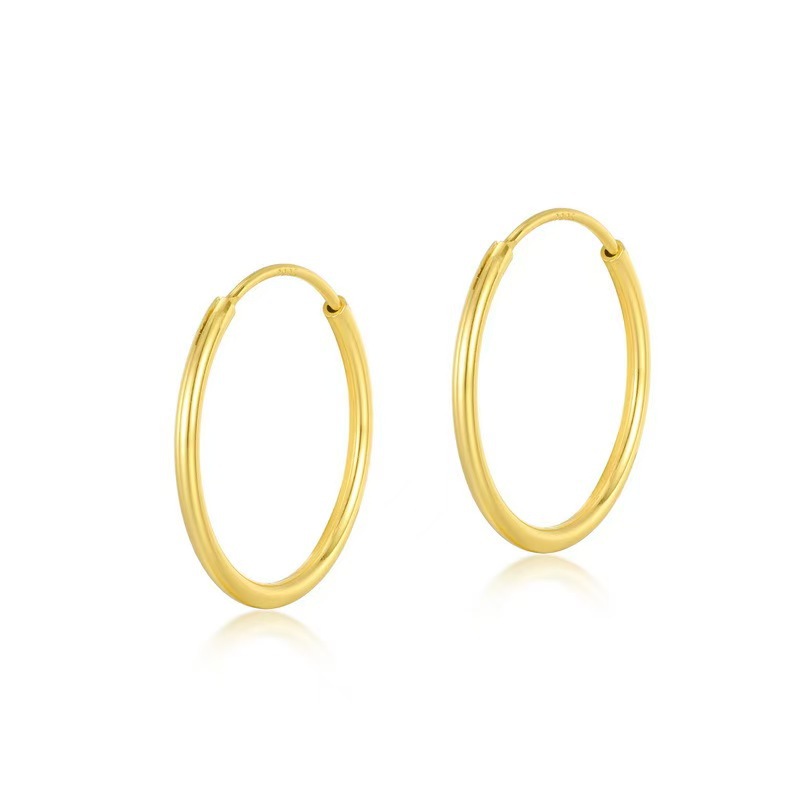Cross-border stainless steel large earrings, light luxury, high-end, fashionable, simple hoop earrings, trendy niche earrings, cross-border certification available.