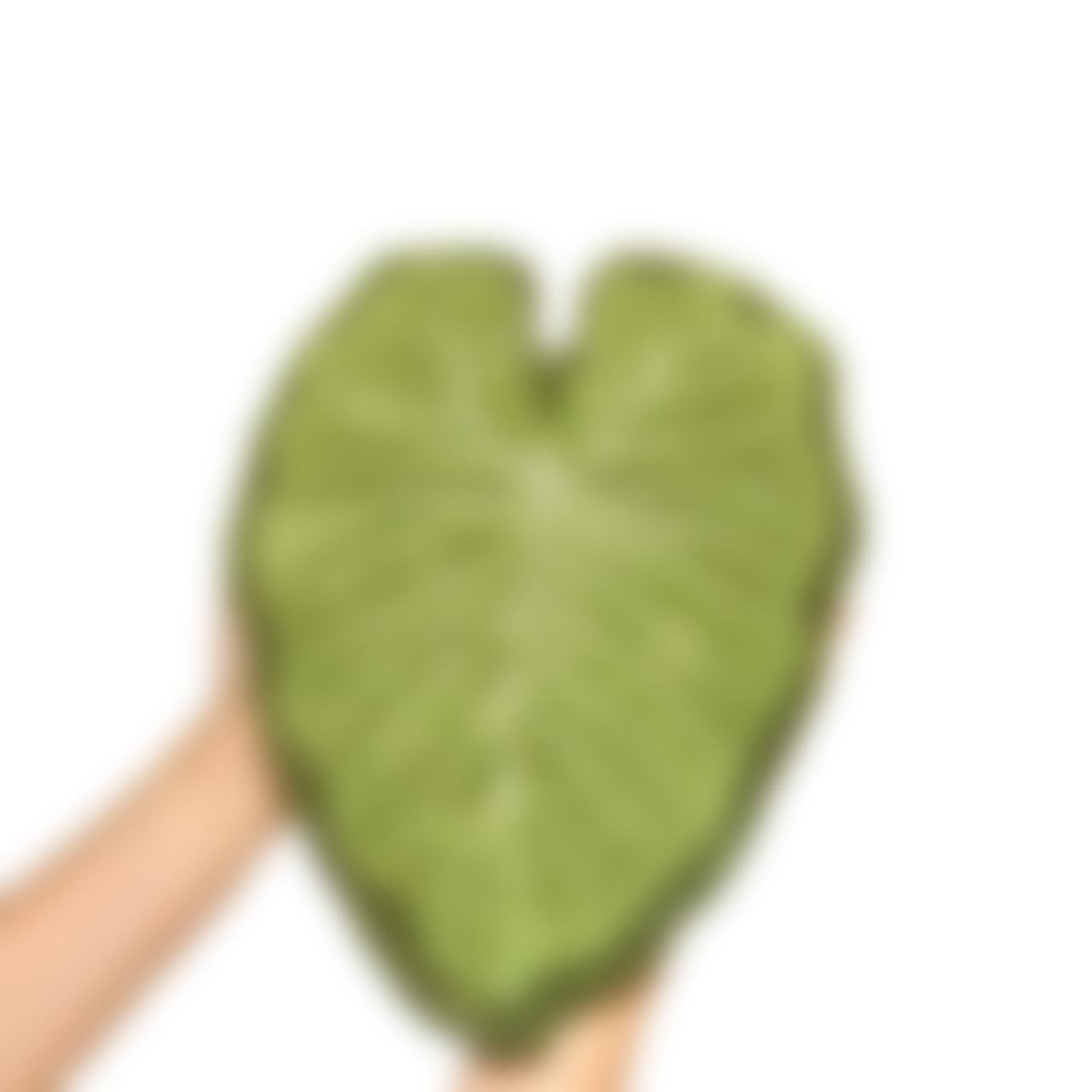 Cross-border e-commerce hot-selling hanging bathroom children's absorbent handkerchief, Monstera leaf household hand towel
