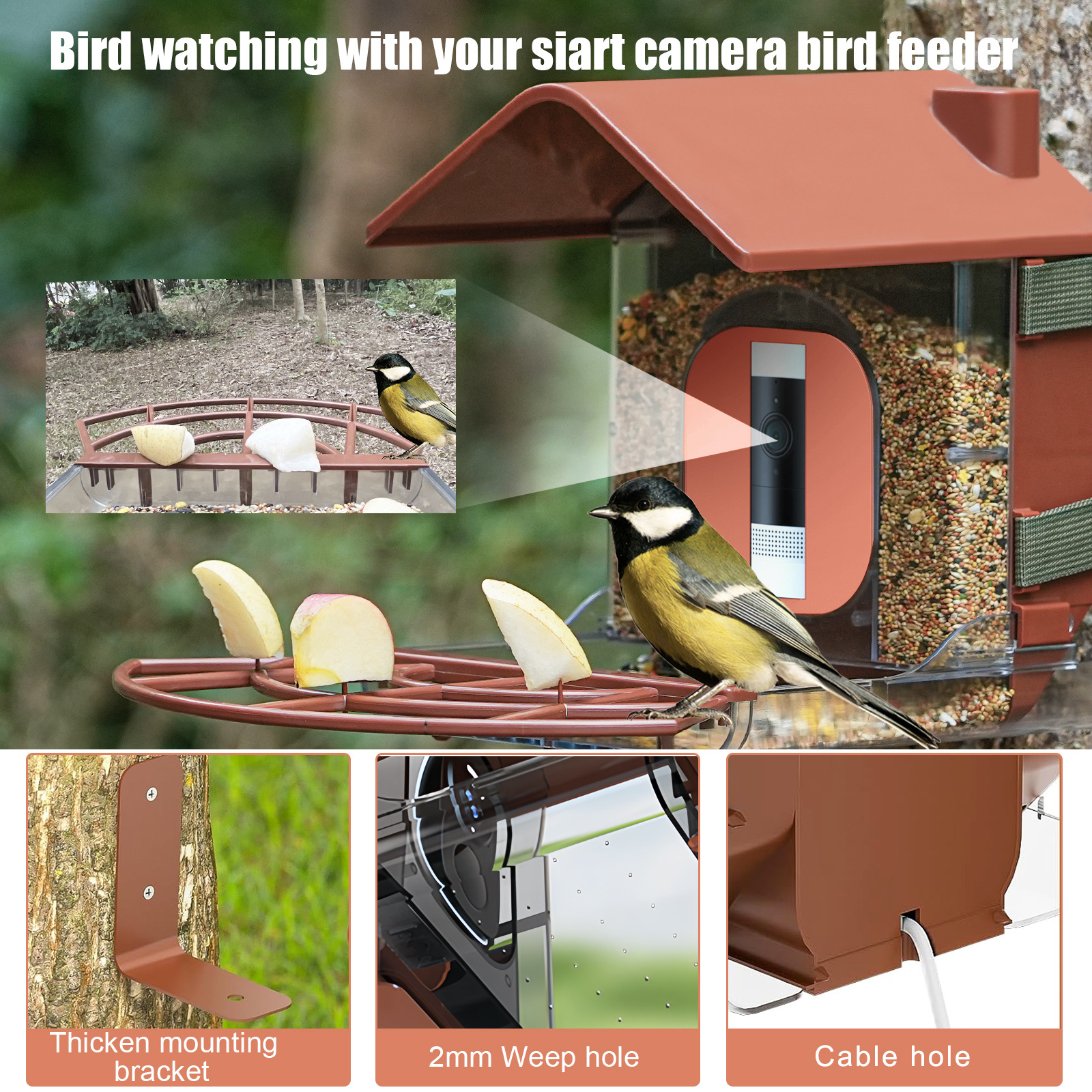 Bird feeder with camera case, outdoor birdwatching, large capacity, waterproof, smart bird feeder