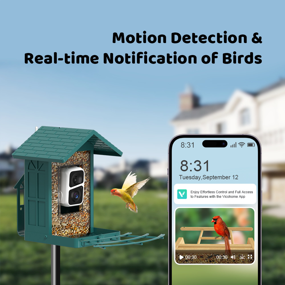 Amazon bird feeder cameras can be DIY-enabled to perform AI-powered bird video and motion detection.