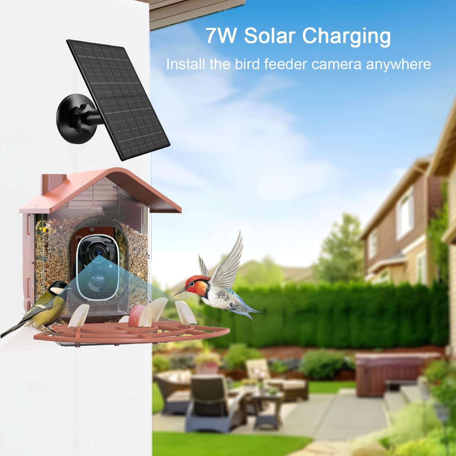Smart bird feeder with AI recognition, solar-powered outdoor bird feeder with camera, large capacity, waterproof.