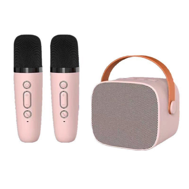 New cross-border Bluetooth speaker with dual microphones for karaoke - wholesale from manufacturer.
